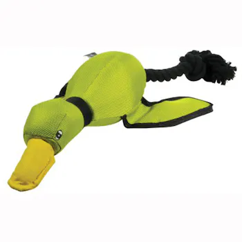 HYPER PET Flying Duck Dog Toy