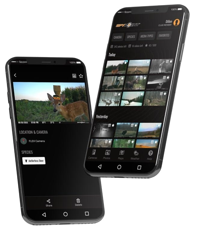 SPYPOINT FLEX G36 Trail Camera - 36MP, 1080p Video-img-5