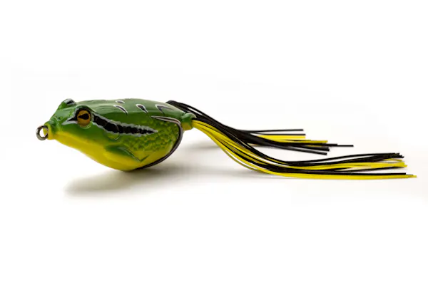 Castaic Frog 1.5