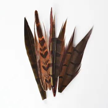 Perfect Hatch Ringneck Pheasant Tail Pieces