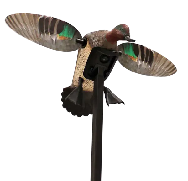 Mojo Outdoors Elite Series Green Winged Teal Duck Species Natural Molded Plastic Features Remote Compatible