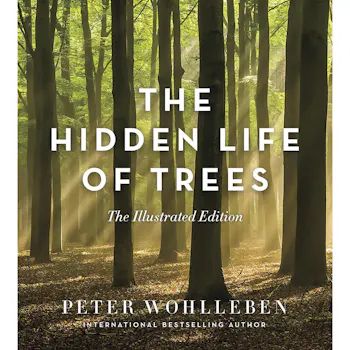 GREYSTONE BOOKS The Hidden Life Of Trees