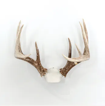 Wicked North Gear the CHANGE UP (Antler Display Kit)