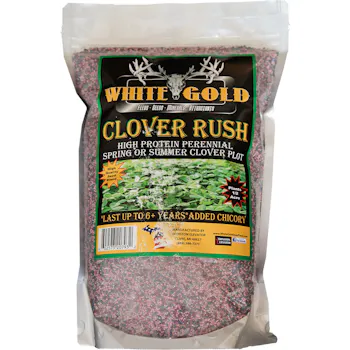 White Gold Clover Rush Seed - 5 lb.