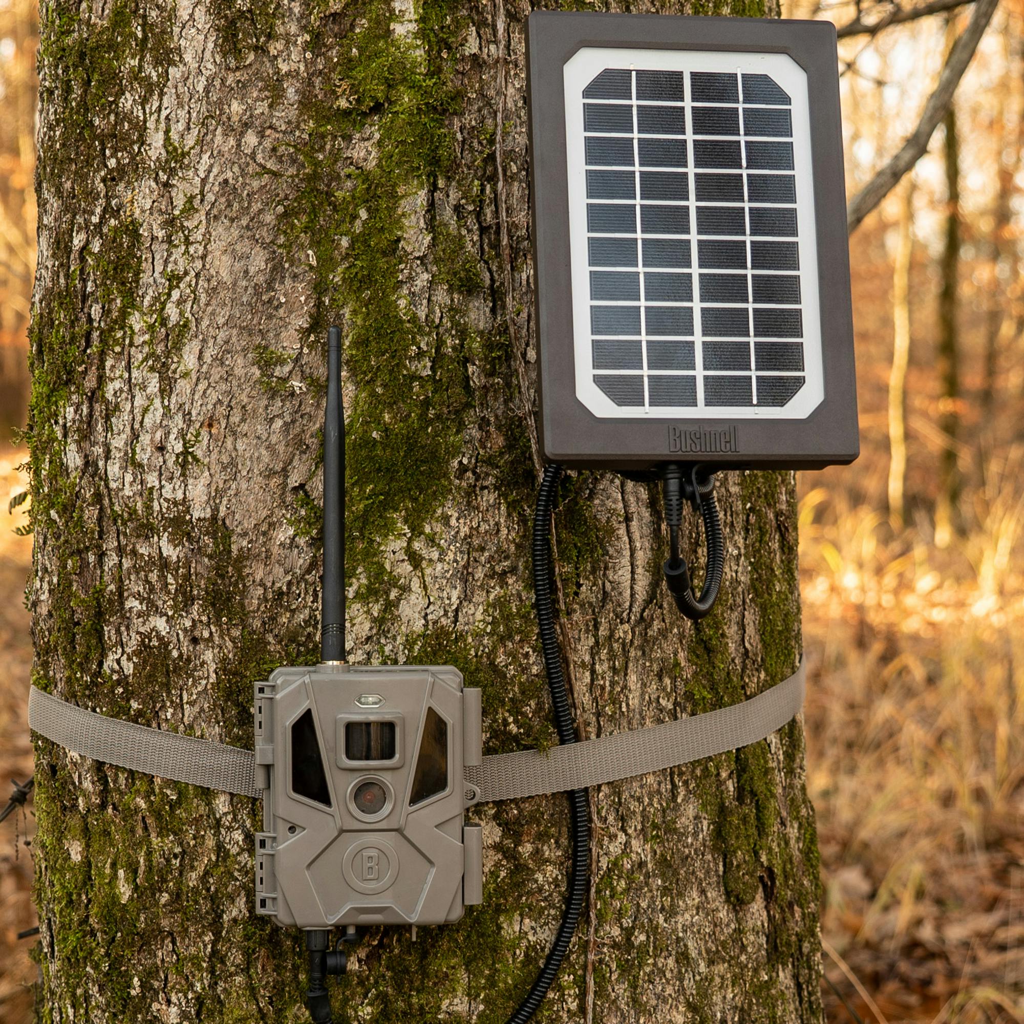 Bushnell Solar Panel for Trail Cameras-img-1